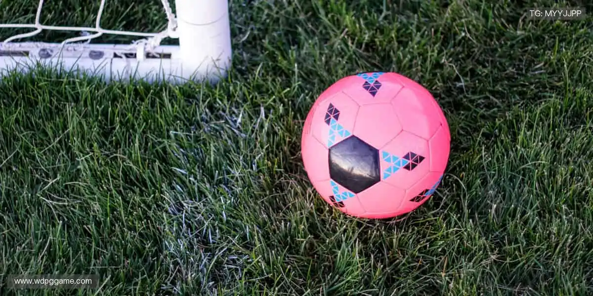 👟品质护航，你的运动生活新伙伴！✨